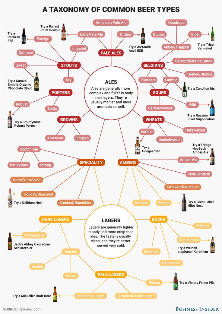 Taxonomy of Beer Types